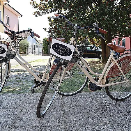 Il Fiore All'occhiello Bed & Breakfast Lucca